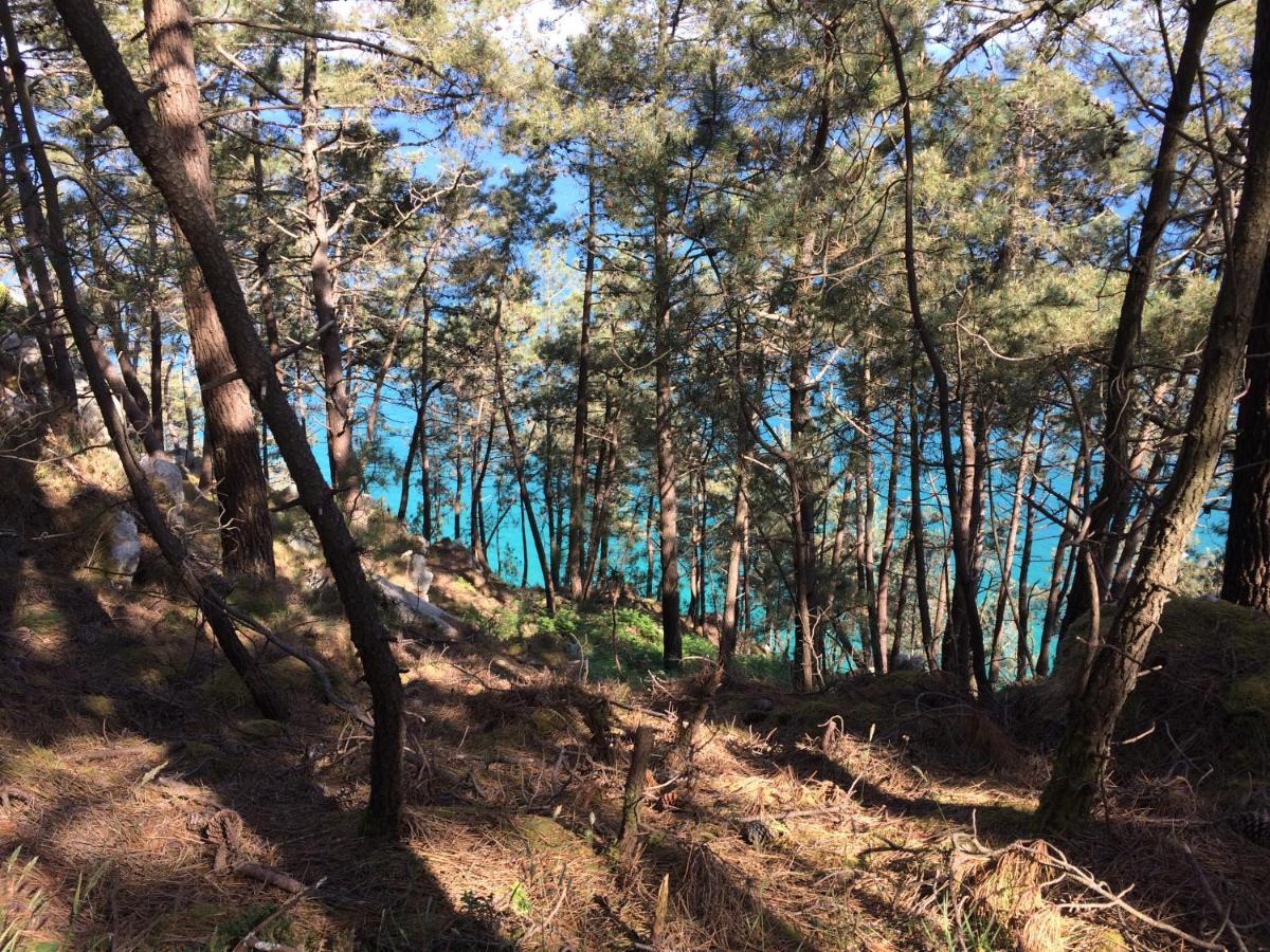 Une Terrasse Sur La Mer Crozon Kültér fotó